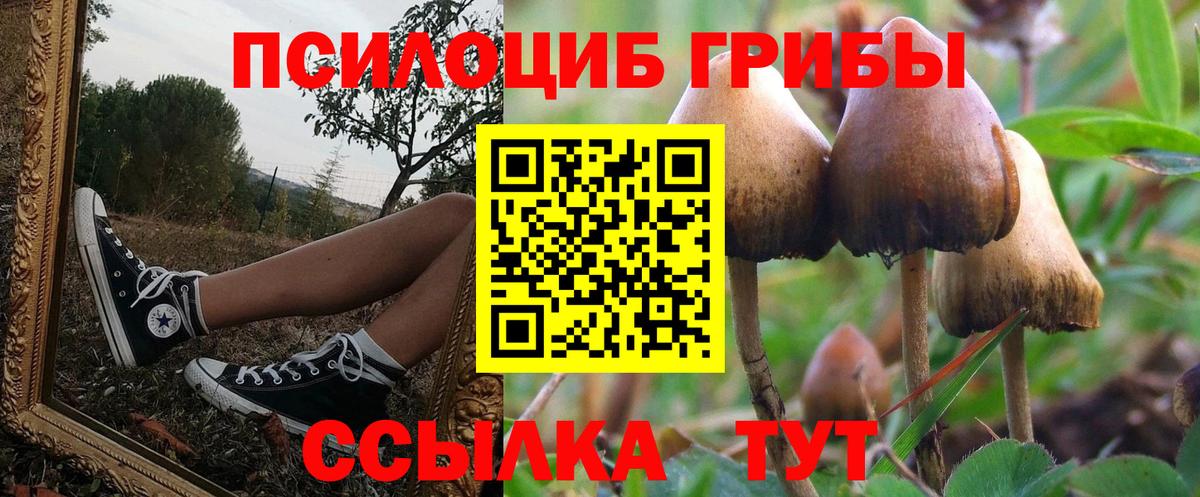 Галлюциногенные грибы Cubensis Камышлов