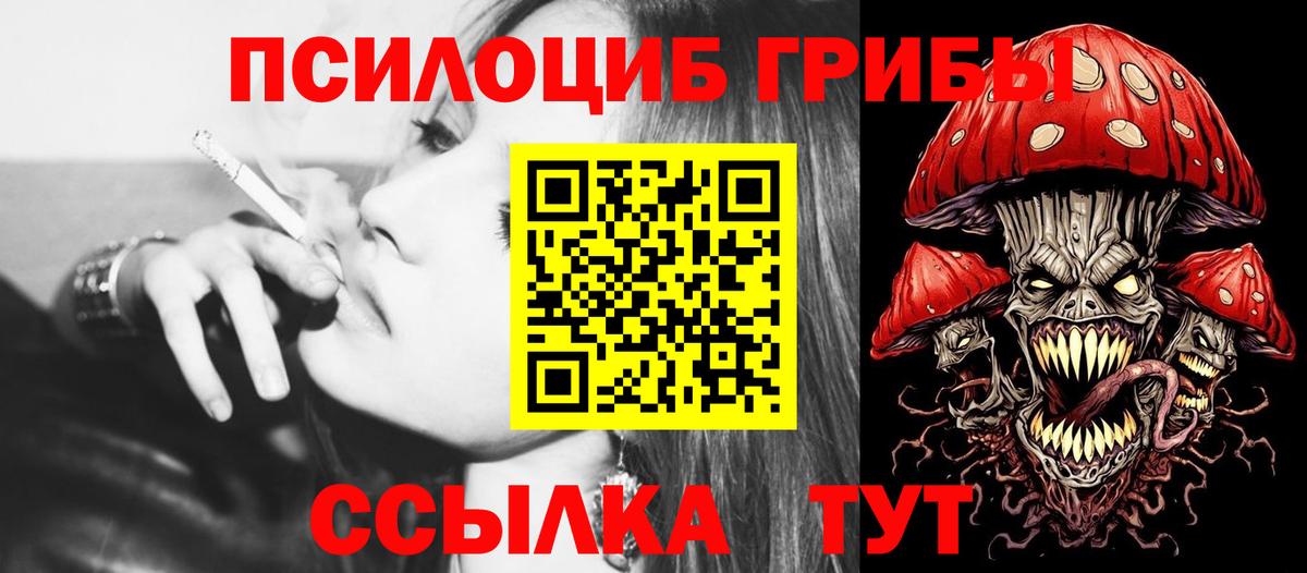 Галлюциногенные грибы MAGIC MUSHROOMS  Вход с VPN  Камышлов 
